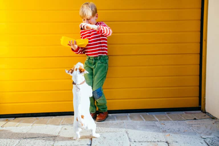 Garage Door Safety Rules