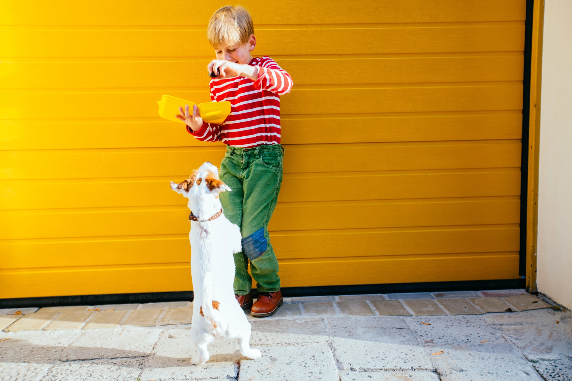 Garage Door Safety Rules